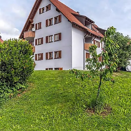 Rh-appartements 15 Minuten Von Basel Im Dorf Ruehrberg Apartmanhotel 4*