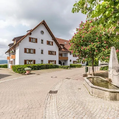Aparthotel Rh-appartements 15 Minuten Von Basel Im Dorf Ruehrberg Grenzach-Wyhlen
