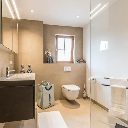 Rh-appartements 15 Minuten Von Basel Im Dorf Ruehrberg 4*