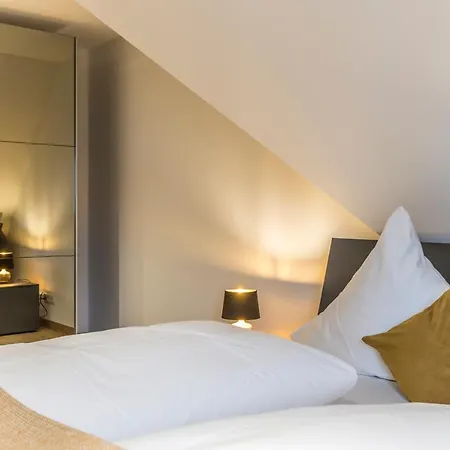 公寓式酒店 Rh-appartements 15 Minuten Von Basel Im Dorf Ruehrberg